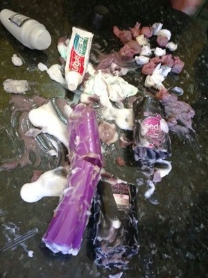Já em embalagens de shampoo e condicionador de cabelo, foram escondidas 20 trouxinhas de maconha (Foto: Divulgação/CDP de Apodi)