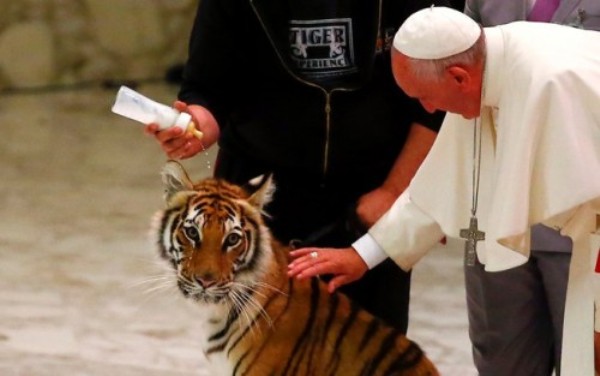 Papa Francisco brinca com tigre durante cerimônia no Vaticano com artistas de circo.