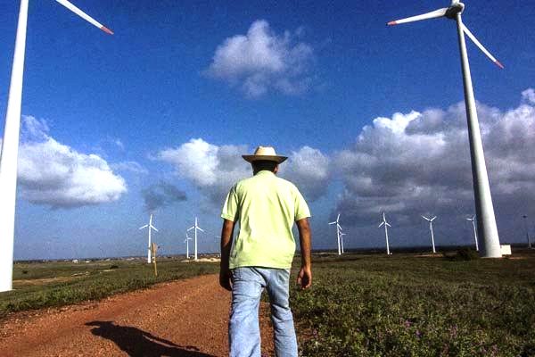 Parque eólico no Rio Grande do Norte: O estado é o maior gerador de energia eólica no Brasil