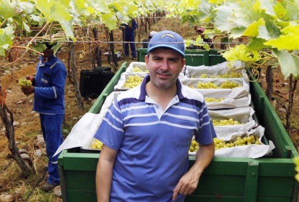 Produtor André Aleixo trocou a cultura de hortaliças pelo cultivo de uvas Itália